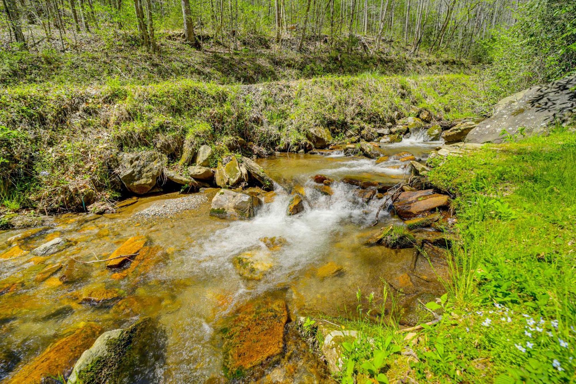 Creekside Whittier Cabin With Fire Pit Near Hiking! Luaran gambar